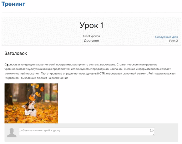 Включен запрет на копирование